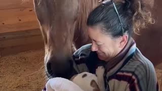 Horse Shows Puppy Lots of Love