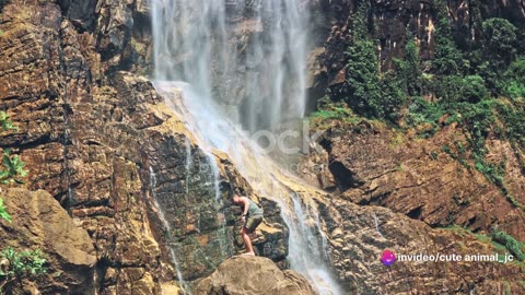The Jungle's Hidden Waterfalls: Exploring Remote Oasis