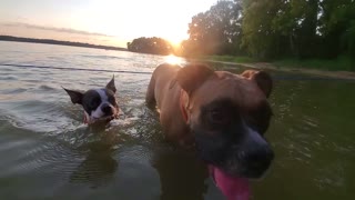 Moss and Finley at the Lake