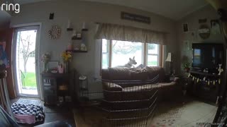 Video captures intense shaking of a house during the 4.8 magnitude earthquake in NJ