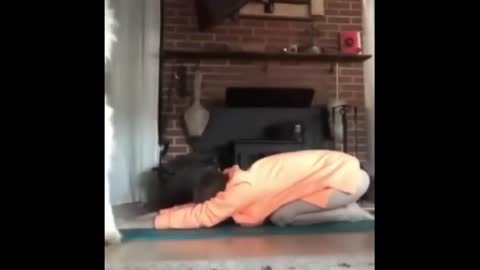 Dog exercise,yoga