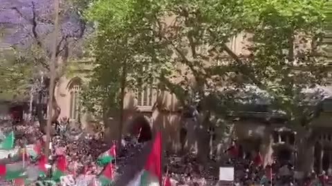 Australia ERUPTS for Palestine 🇵🇸