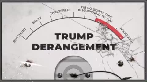 🚨DAN SCAVINO NEW: Trump Derangement