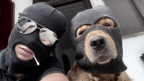 This hood is perfect for dogs, too