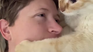 Sweet Cat Begs for Nose Kisses