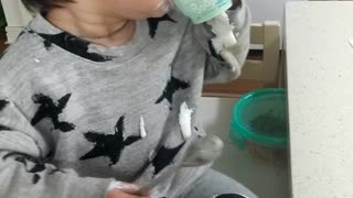 Video of a cute baby eating Yopla
