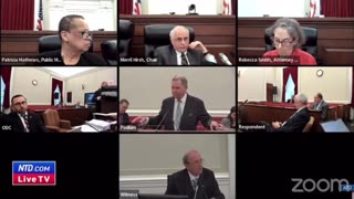 Fulton County Election Fraud Testimony Evidence