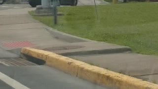 Person Hangs Off Back of Moving Car