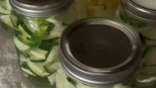 Canning Zucchini And Tomatoes