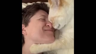 Sweet Cat Begs for Nose Kisses