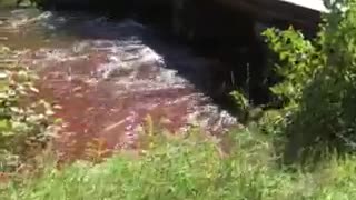 Sturgeon River, Wolverine, Michigan