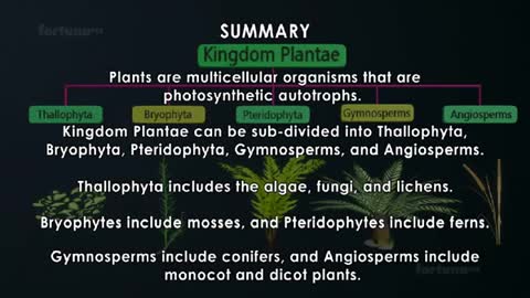 Classification in Plants