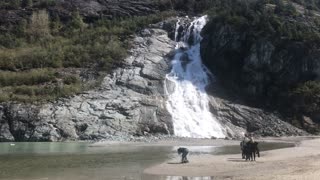 Mendenhall Glacier & Nugget Falls, Juneau, Alaska 12May2022