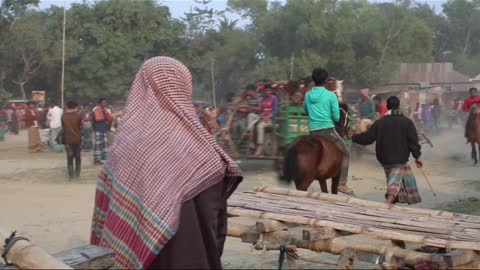 best wide horse rolling stones #horseracig 😍 #shortvideo #villagemarketbd #horsevideo #villagelife