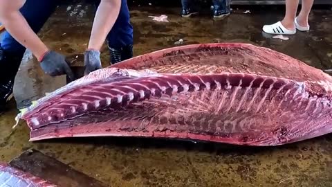 Keterampilan memotong ikan yang luar biasa