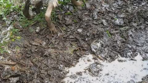 Sometimes you just feel like getting muddy!!!