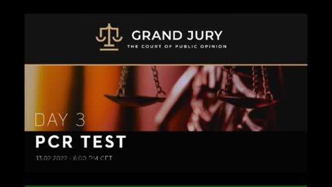 Grand Jury Day 3 (English) THE PCR TEST w/ Reiner Fuellmich:Crimes Against Humanity: Feb 13, 2022