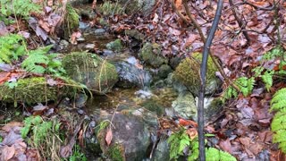 30 Minutes of Running Water Tranquility