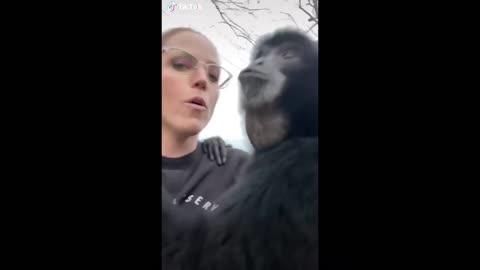 Monkey Funny TikTok videos It Will Make you Laugh