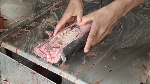 Ocean Big Rita Fish Fast Cutting By Machine In Fish Market