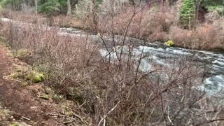 Hiking Beside Metolius River in the Freezing Cold – Central Oregon