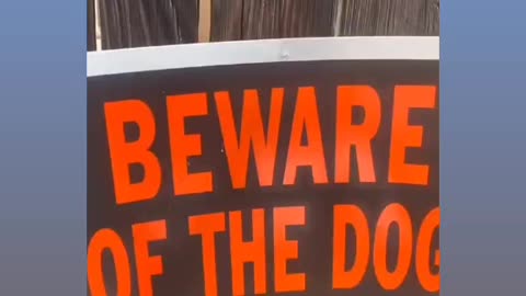Be aware the dogs