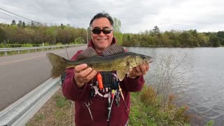 Short: Fishing W/ Dad: Side of the road Walleye in the Upper Peninsula
