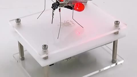 Robotic Insects Science Invention Electronic Animal