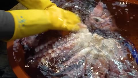 Seasoned octopus salad cooked with 17kg of Giant Octopus