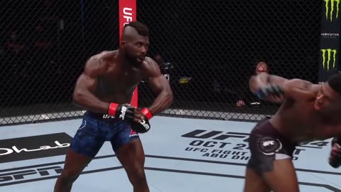 Crazy Finishes in UFC 🔥