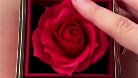 Get her a REAL rose that’s preserved to last forever.👩‍❤️‍👨🎁Save 22%