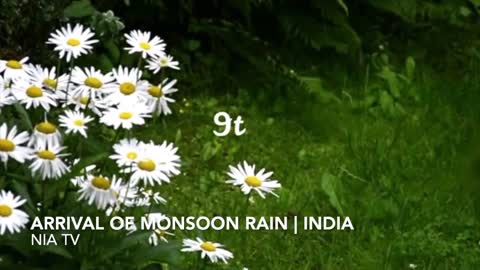 Monsoon rain arrival | India