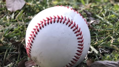 Summer's Song: A Baseball Haiku