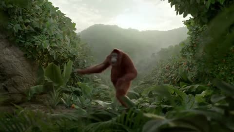 Dancing Orangutan