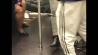 Subway Mouse Startles Commuters