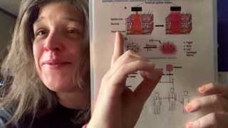 The Intricacies of Cyber Security and Electromagnetic Spectrum in Moden Tech