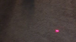 Cat Claws Carpet Chasing Laser Pointer