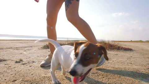 young stylish hipster playing dog puppy jack russell on the beach