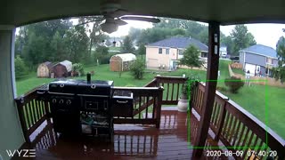 Lightning Strikes Neighbor's Tree