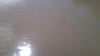 Large puddle in the middle of the street with small waves [Nature & Animals]