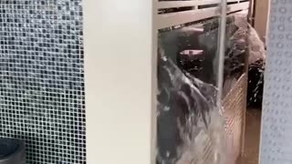 House Shakes During Earthquake in Taiwan