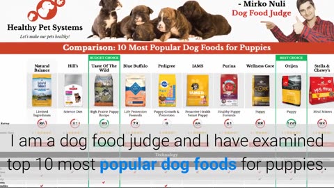 Top 10 Most Popular Dog Foods For Puppies Reviewed By Dog Food Judge 🏆