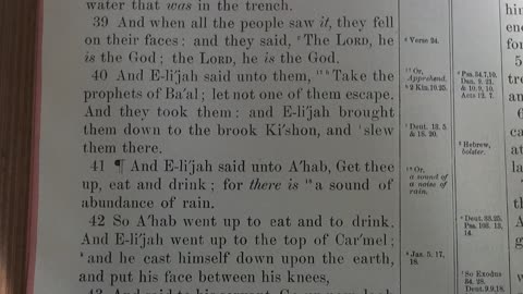 Elijah wins out over the prophets of Baal