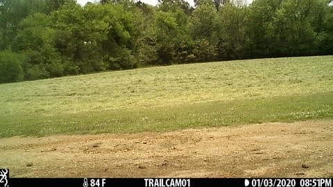 Getting ready to bale the wheat.