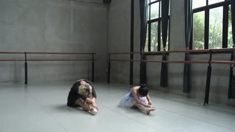 Woman Teaching Ballet Moves to a Girl