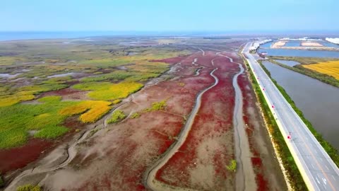 Aerial photography of nature