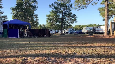 Amateur Radio Park Activation at Sandhills State Game Land With the Hamtenna