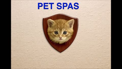 Pet Spas