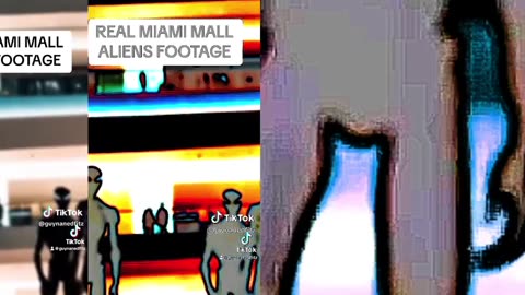 Other footage of the 3 xrays trying to blend into a day at the mall.