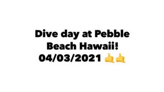 Dive day at Pebble Beach Hawaii! 🤙🤙
